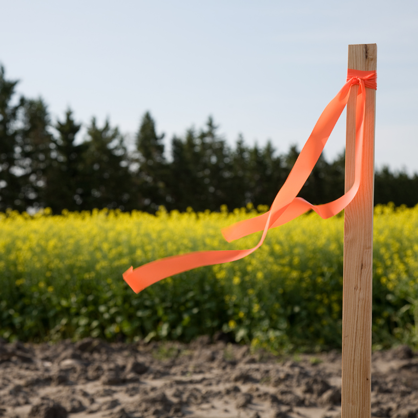 Erosion & Site Control Landscaping